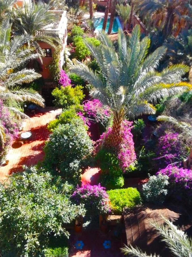 Chez Ali Hotel Zagora Bagian luar foto