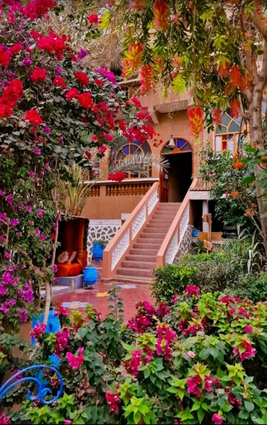 Chez Ali Hotel Zagora Bagian luar foto